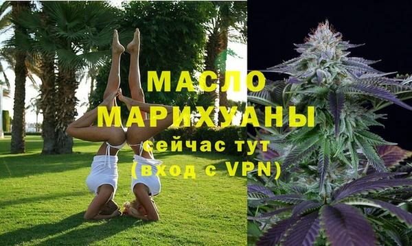 эйфоретик Вяземский