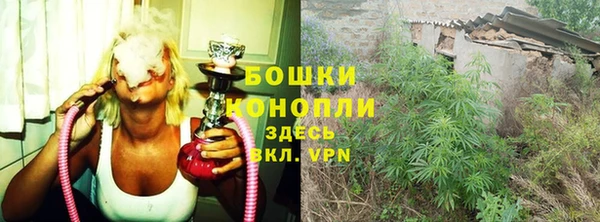 дживик Горнозаводск