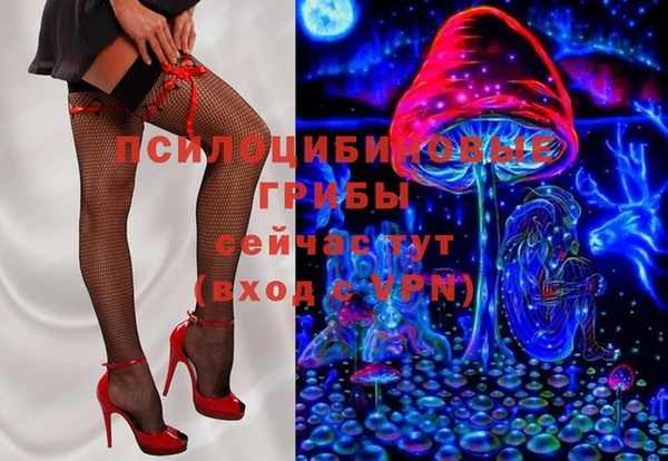 дживик Горнозаводск